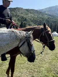 Discover Kyrgyzstan’s Hidden Wonders