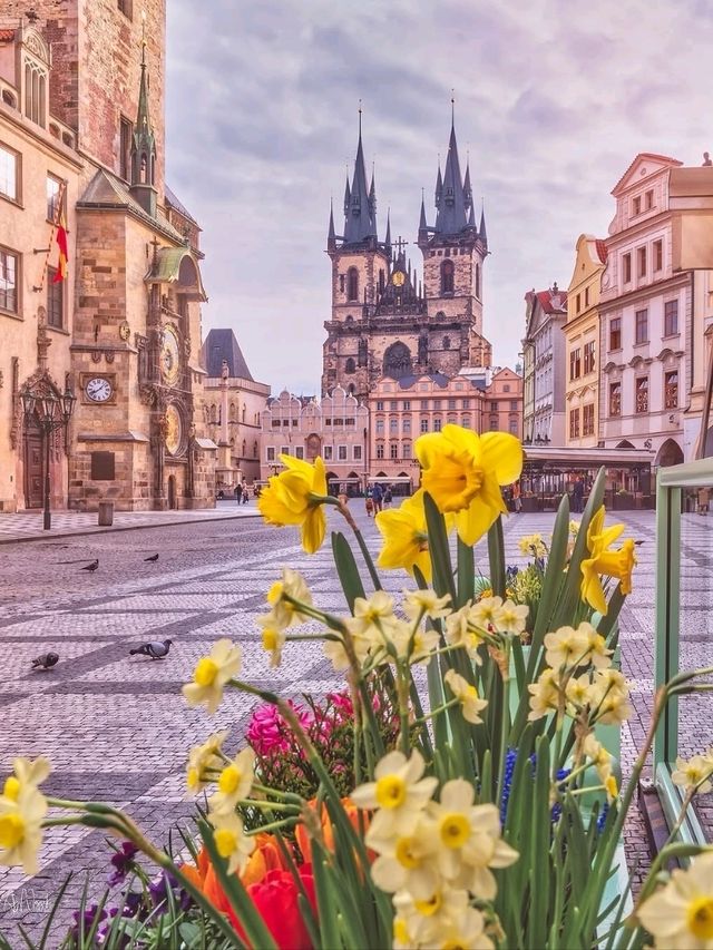 🏰✨ “Bohemian Magic & Timeless Towers: My Day in Prague” 🇨🇿