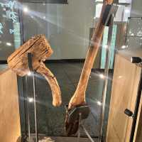 🇳🇴挪威奧斯陸－歷史博物館 Historisk Museum 🕰️