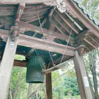 From Tokyo to Nagoya: A Day Trip Beyond the Capital