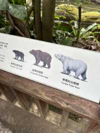 Bird World Review: A Wild Day Out in Taipei’s Animal Kingdom