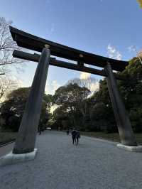 Japan Itinerary 9: Tokyo art, street, gardens and shrines