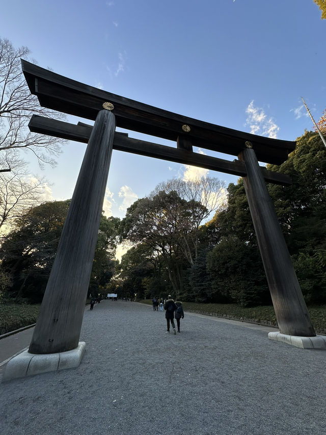 Japan Itinerary 9: Tokyo art, street, gardens and shrines