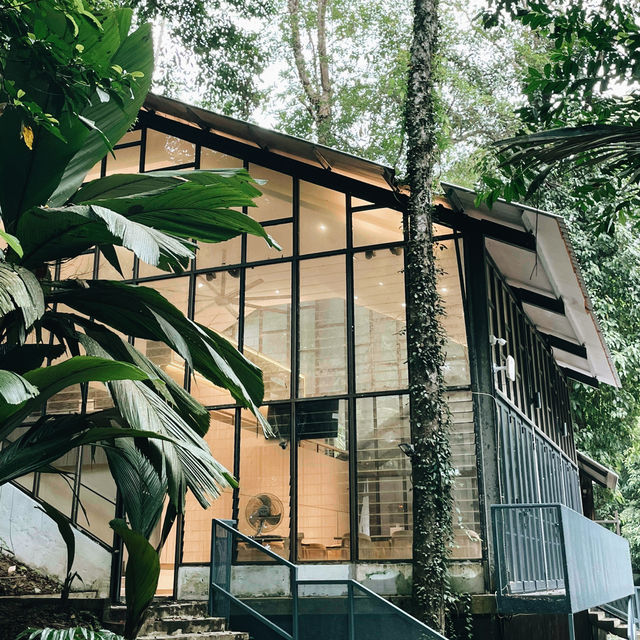 Day Tripping from KL to Penang: Food, Culture & Island Charm