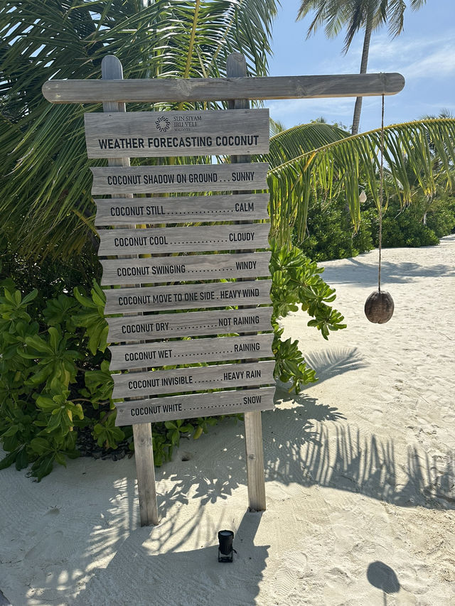  🌊 Sun Siyam Iru Veli: Adventure in the Heart of Paradise