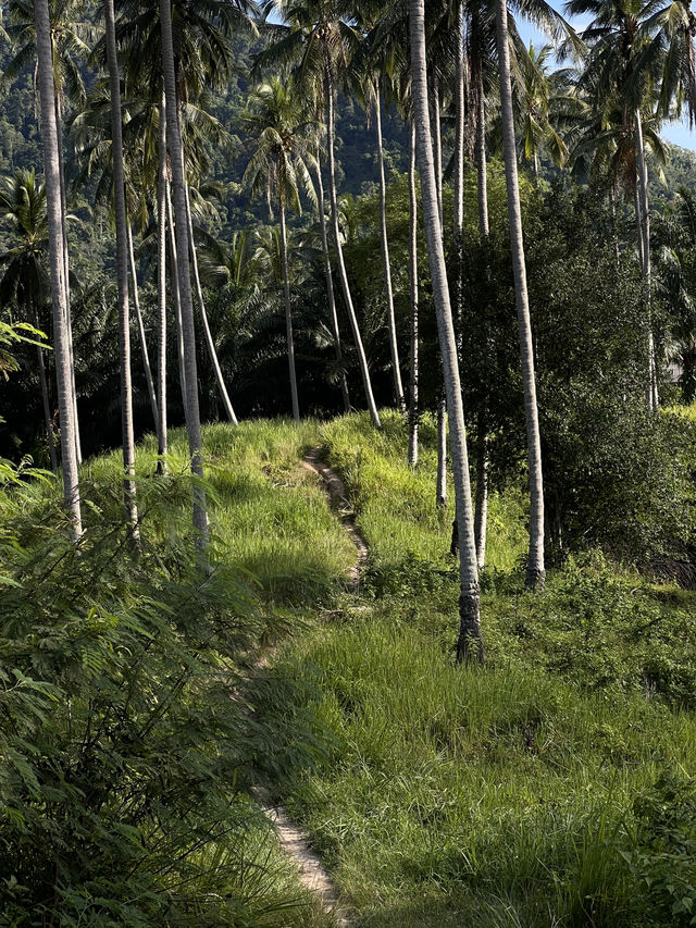 😊✨ Khanom: Thailand’s Hidden Coastal Gem 🇹🇭🌊