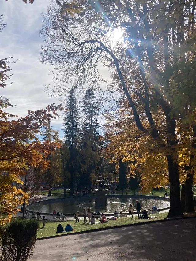 Autumn in Romania: A Golden Escape 🇷🇴