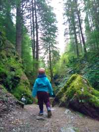 A magical walk in Puck's Glen, Dunoon