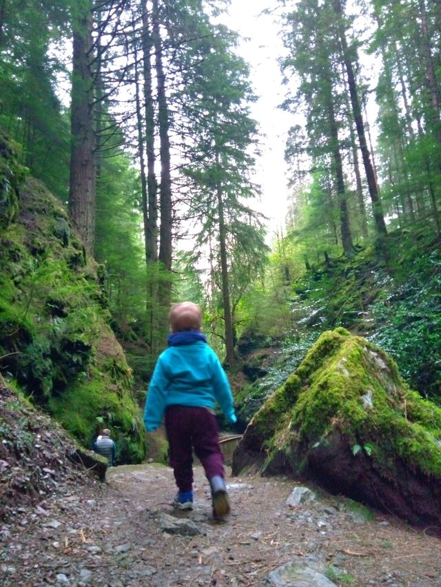 A magical walk in Puck's Glen, Dunoon