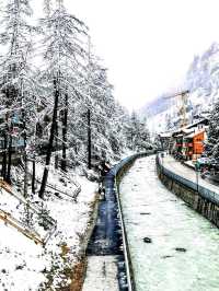 Snow-Kissed Spirits of Zermatt