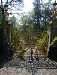 Benmore Botanic Garden, Dunoon – A Forest of Giants and Calm