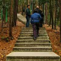 Slow Steps Through Yushan County 🌿🚶‍♀️