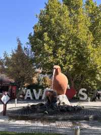 아바노스 스타벅스에서 만난 평화☕️