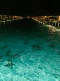 Мальдивы с малышом