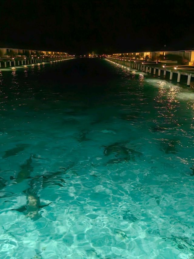 Мальдивы с малышом Мальдивы с малышом