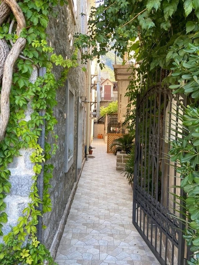 🌊 Kotor, Montenegro — A Medieval Jewel by the Bay