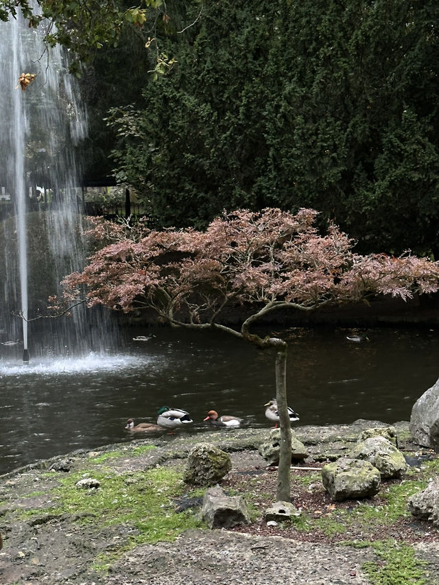 oviedo in a day 🗺️🌿