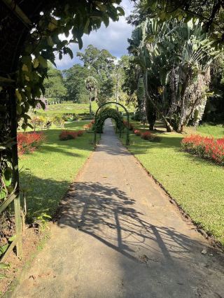 Royal Botanic Gardens, Kew offers visitors more than beautiful landscape