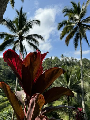 バリの至福🌴 | Trip.com バリ島