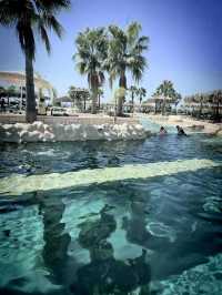 Sealanya Dolphinpark Seapark: Alanya’s Epic Marine Adventure 🐬🌴