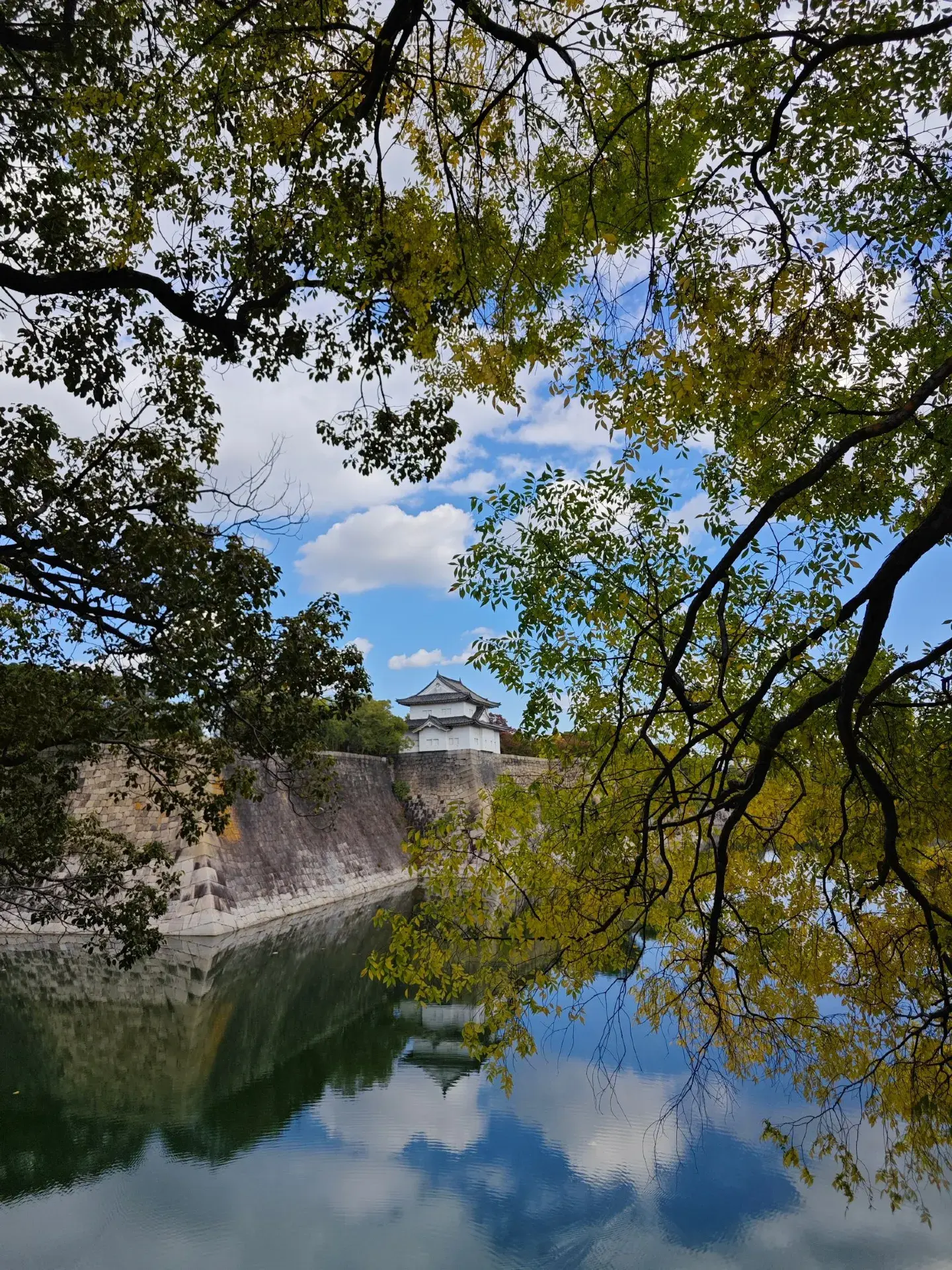 Where to See the Best Autumn Leaves in Osaka: Castle Park 🍁✨