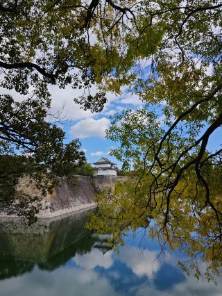 Where to See the Best Autumn Leaves in Osaka: Castle Park 🍁✨
