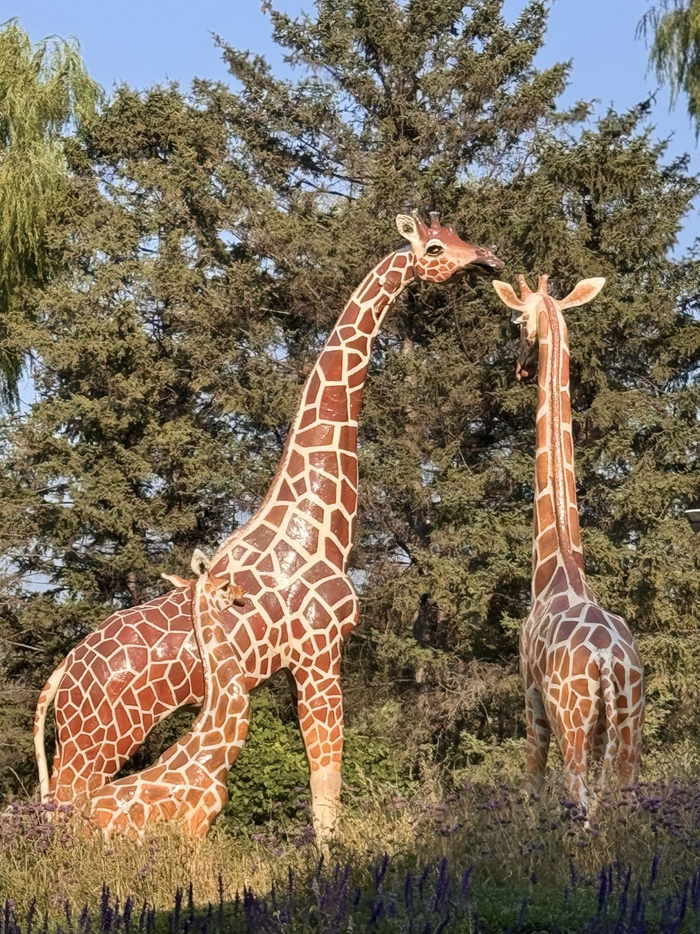 Relaxing Day at Changchun Zoological and Botanical Park: A Green Oasis in the City
