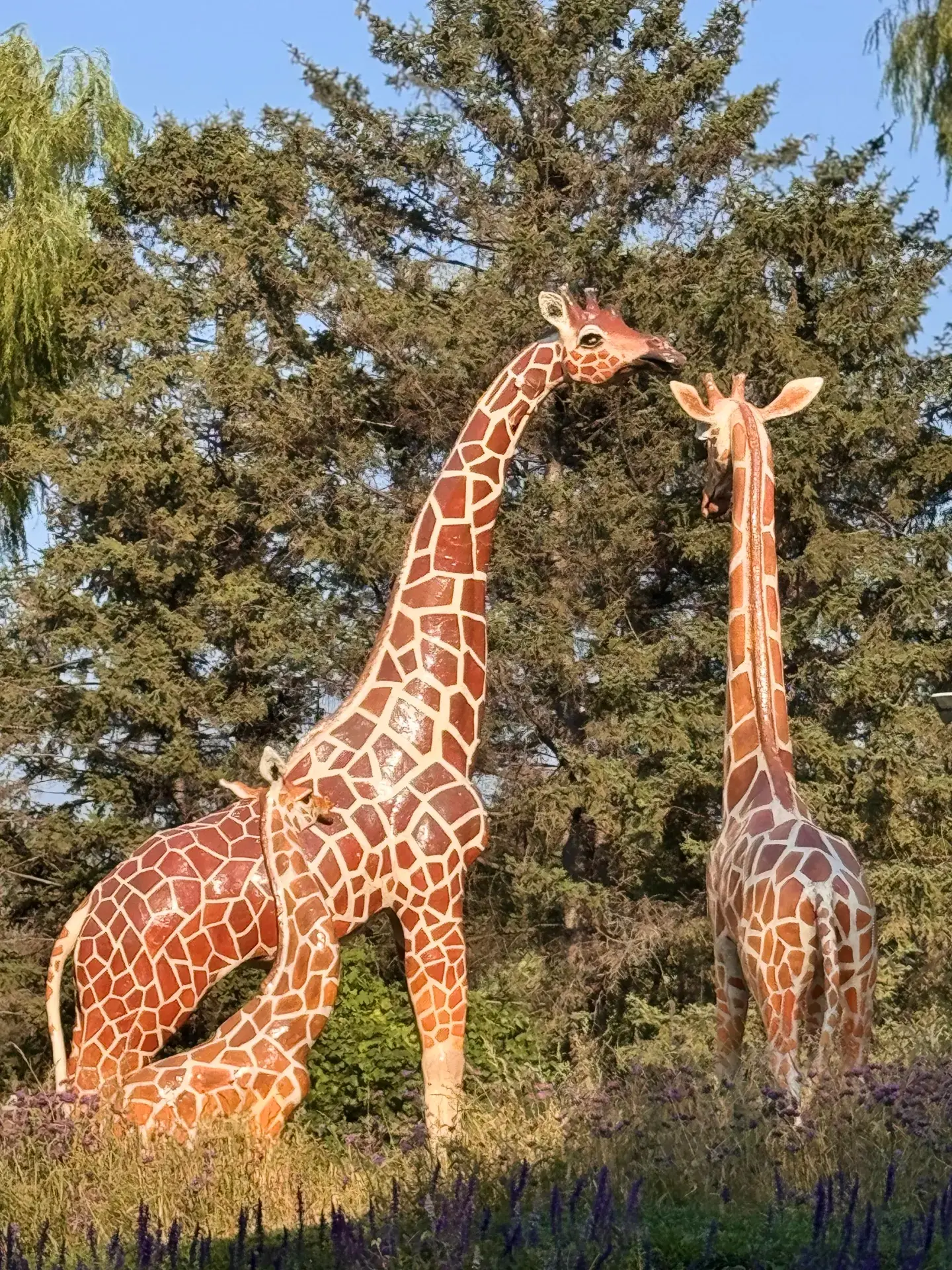 Relaxing Day at Changchun Zoological and Botanical Park: A Green Oasis in the City