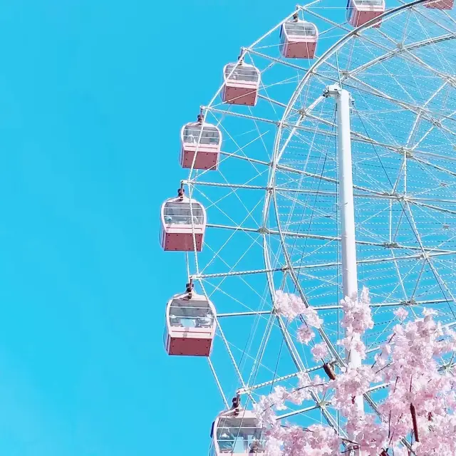 Road to Wonderland donghu eye Ferry Wheel