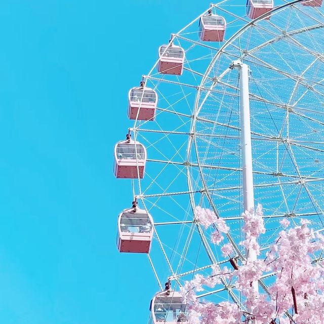 Road to Wonderland donghu eye Ferry Wheel