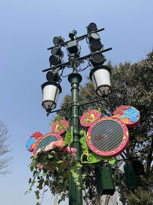 Springtime Shanghai Disney Resort🐭🎡🎪