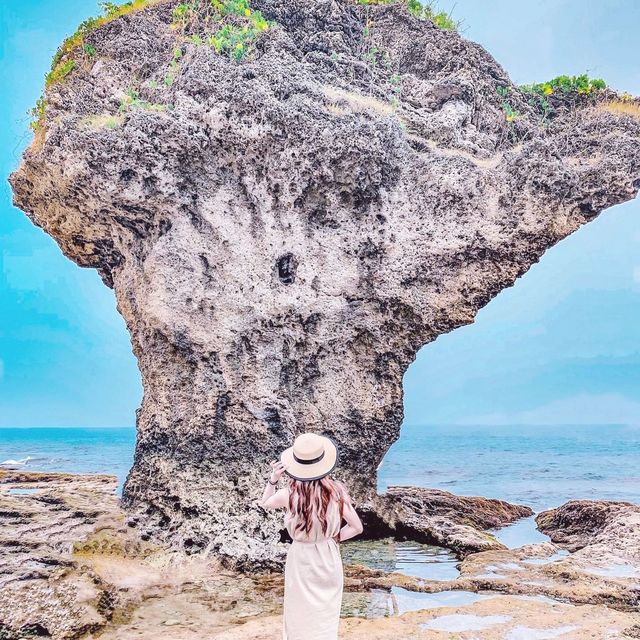 台灣小琉球⛱️🐟