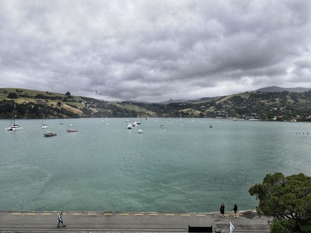 New Zealand's French town - Akaroa.