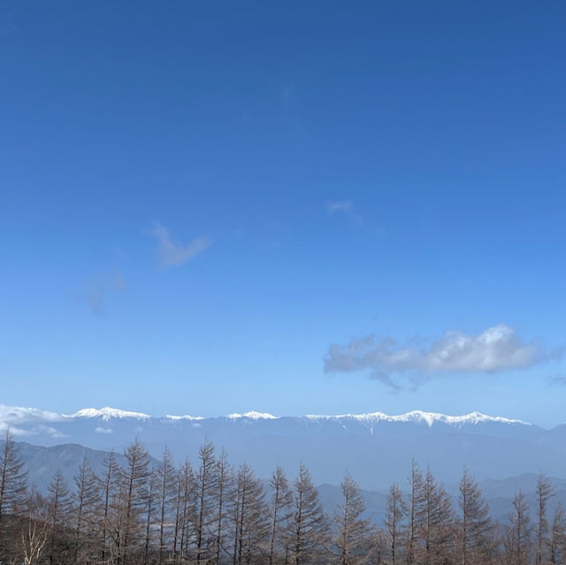 🗻東京Iconic景點 - 富士山及河口湖