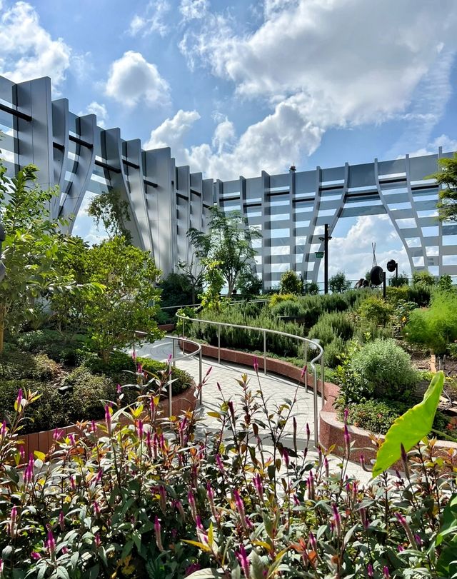 Singapore Travel | You can see the panoramic view from this sky garden!