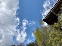 Japan's Izu Shuzenji, a less popular ancient hot spring resort.