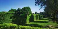 The number one mausoleum in the world is not only the Taihao Mausoleum, but also the Duxiu Garden.