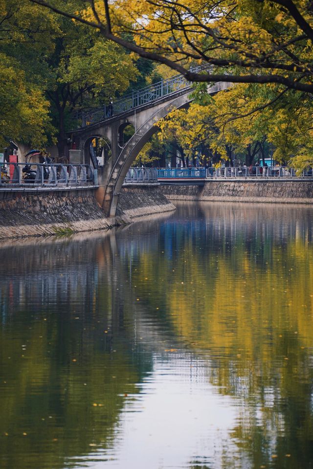 昆明周邊｜大觀河畔的秋景