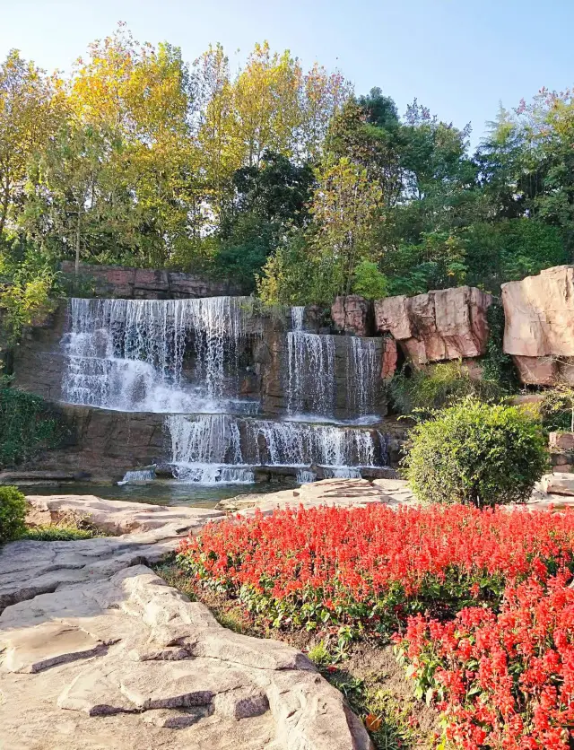 The largest urban forest park in East China - Longbei Mountain Forest Park!