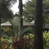 Conghua - The Home of Relaxation 