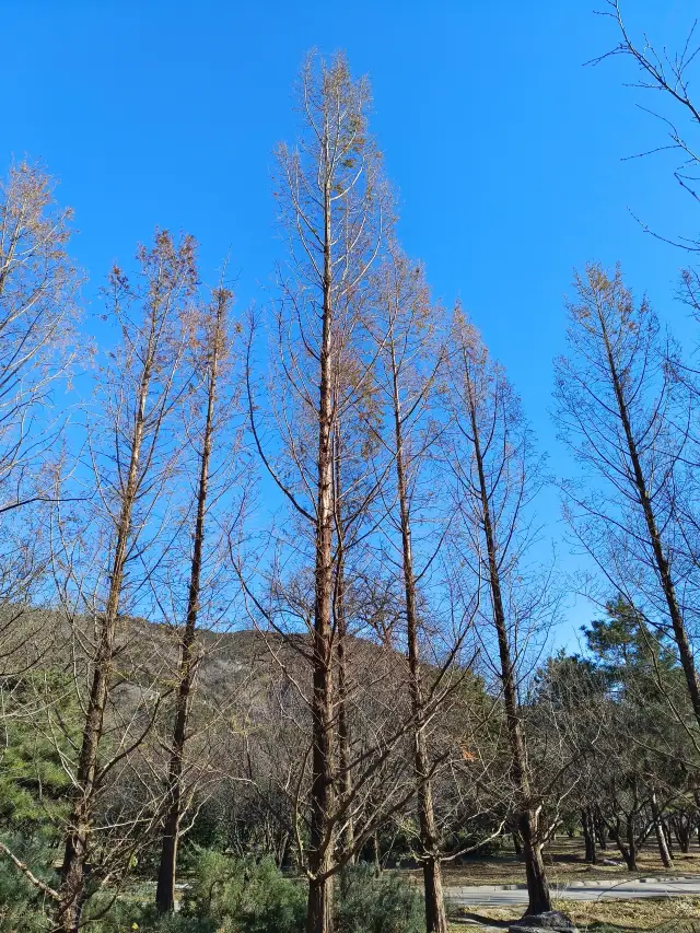 겨울의 식물원