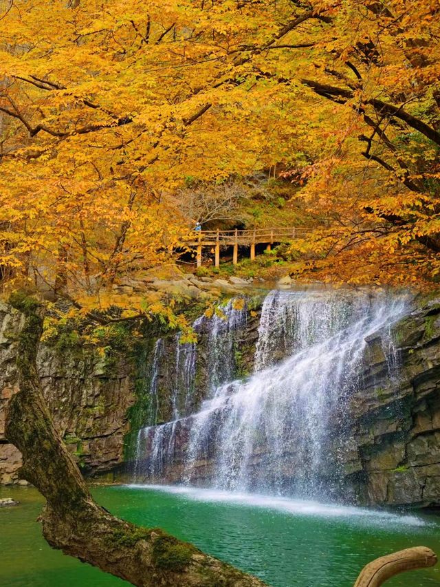 ●陝西黎坪國家森林公園！被光霧山掩蓋的紅葉秘境