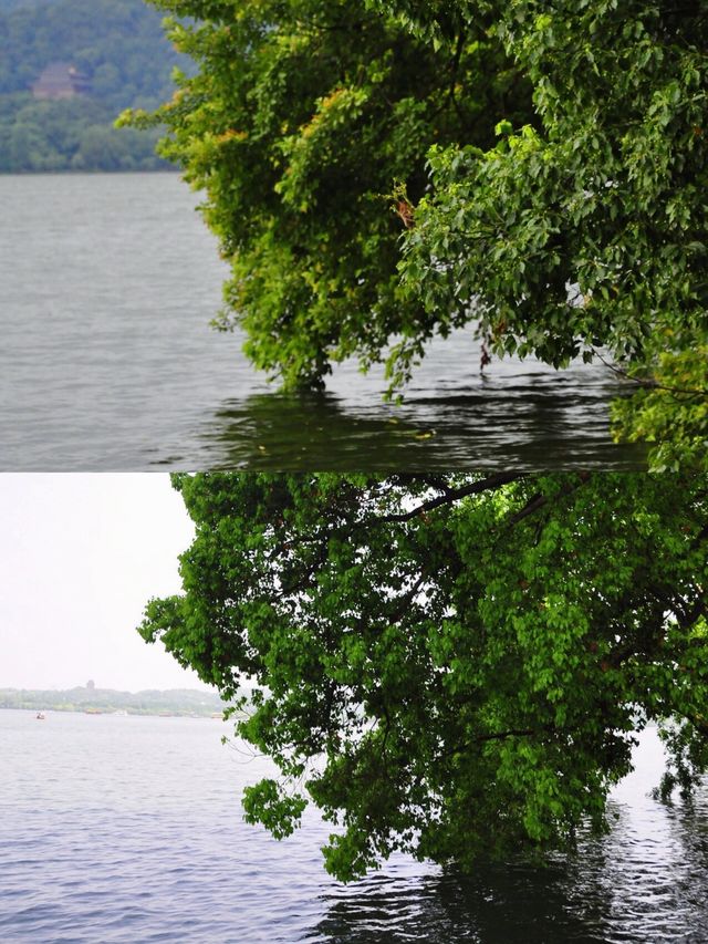 蘇堤春曉，蘇東坡創造西湖十景之首