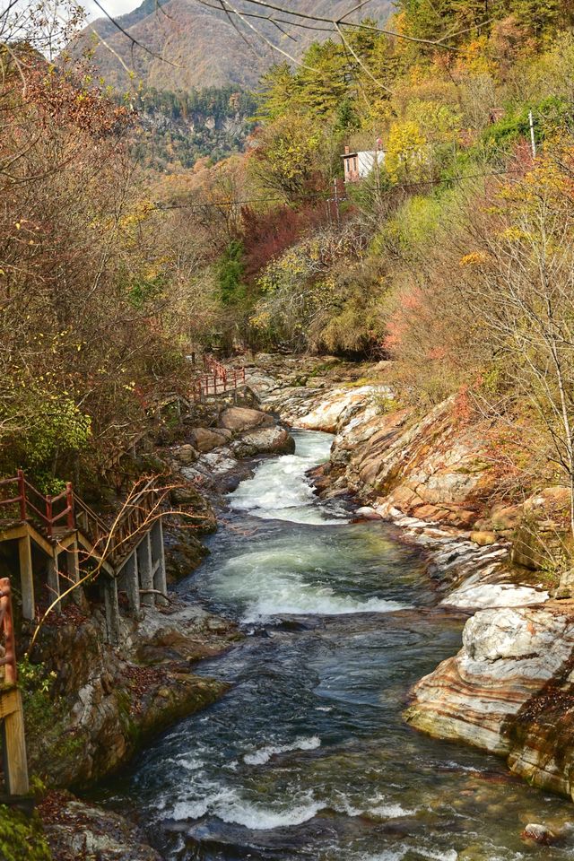 山水畫廊黃柏塬