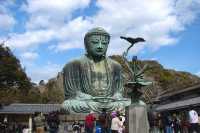 鎌倉市與鎌倉大佛:歷史的瑰寶與文化的象徵