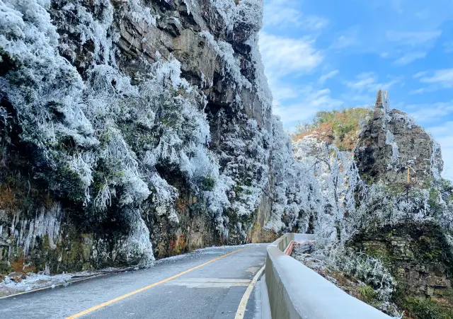 The spectacle on the Tropic of Cancer, the beautiful rime scenery of Daming Mountain in Nanning, miss it and wait for a year