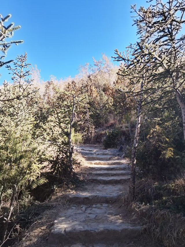 花50分鐘爬上世界海拔最高的拉薩南山公園