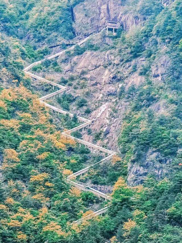 杭州大明山的雲海日出真的浪漫至極