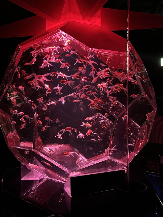 東京不可錯過銀座金魚展！市區最夯出片景點