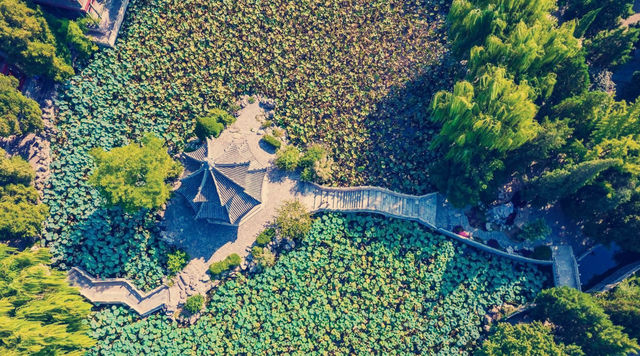 保定古蓮花池,中國十大名園之一,是保定旅遊的必打卡地 保定古蓮花池,中國十大名園之一,是保定旅遊的必打卡地